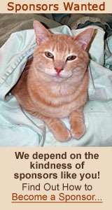 Sponsor a Furry Friend!