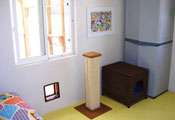 Little Haven