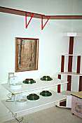 Cats Room