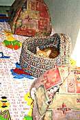 Cats Room